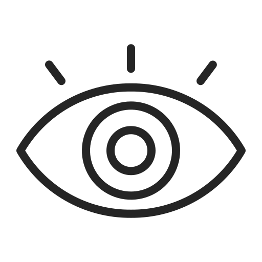Vision